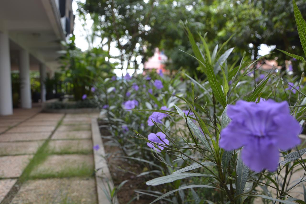 Bamboo Garden Boutique Hotel Siem Reap Exterior foto